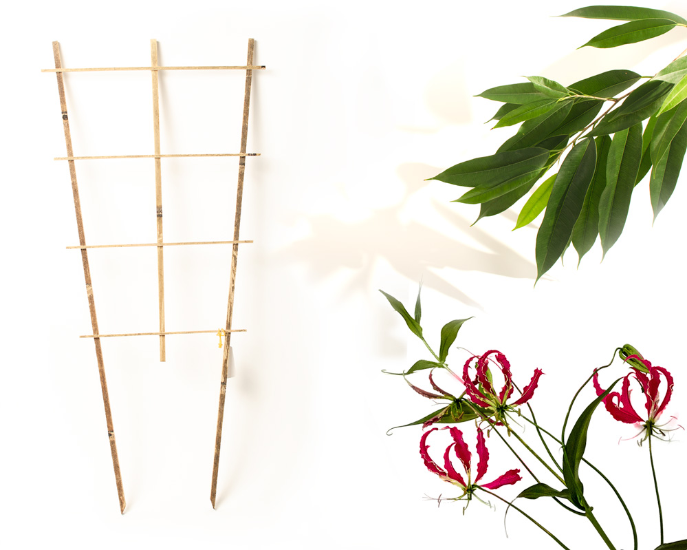 Split bamboo skin fan trellis