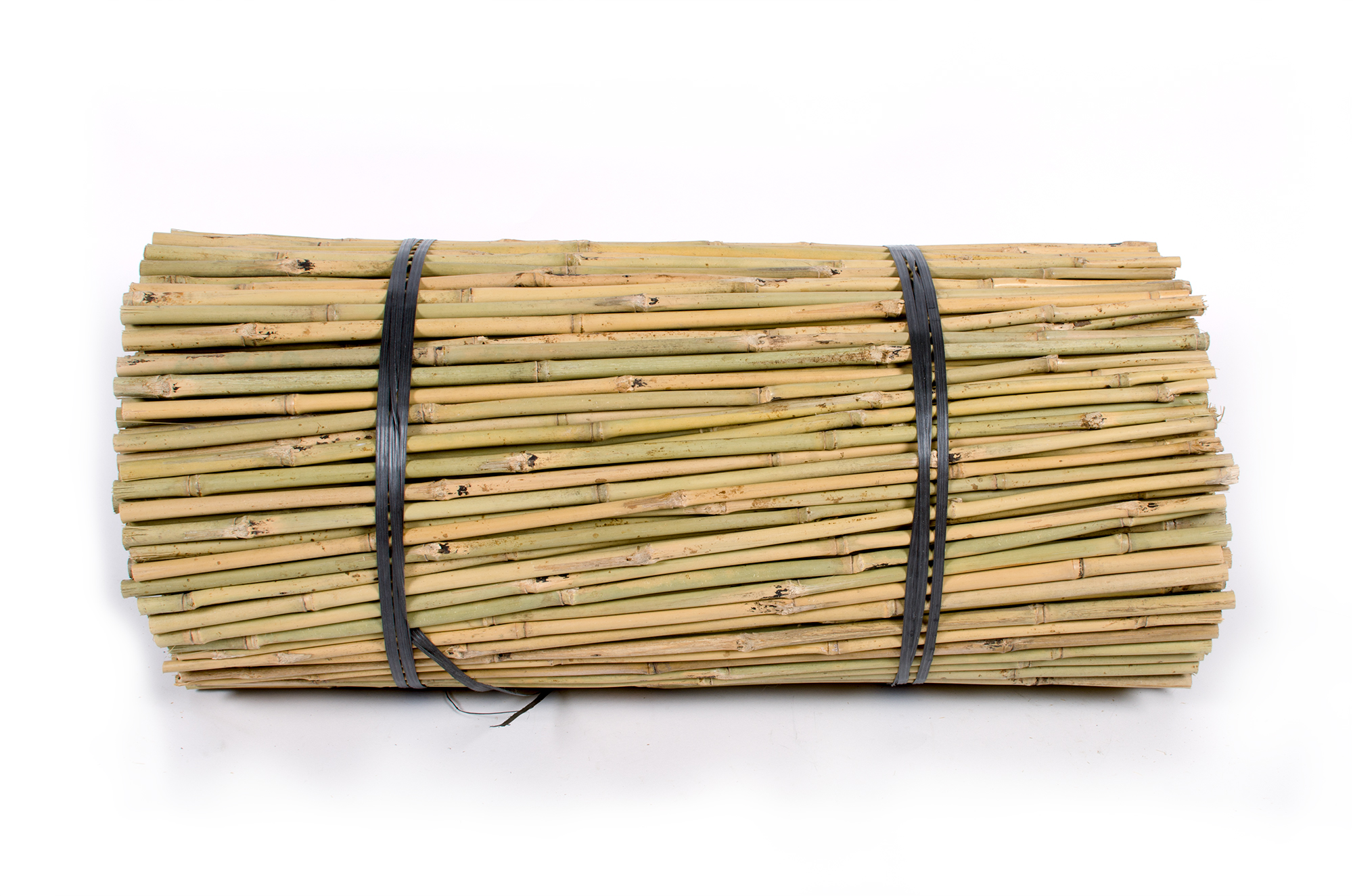 Tonkin bamboo cane