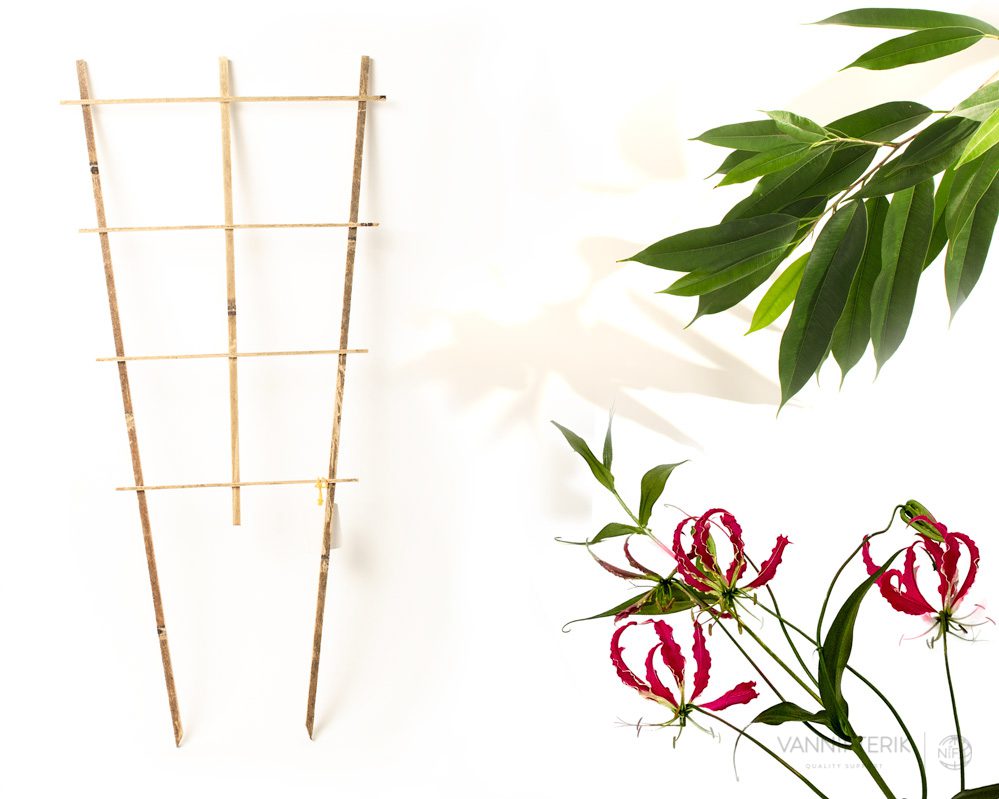 Espalderas de piel de bambú en forma de abanico
