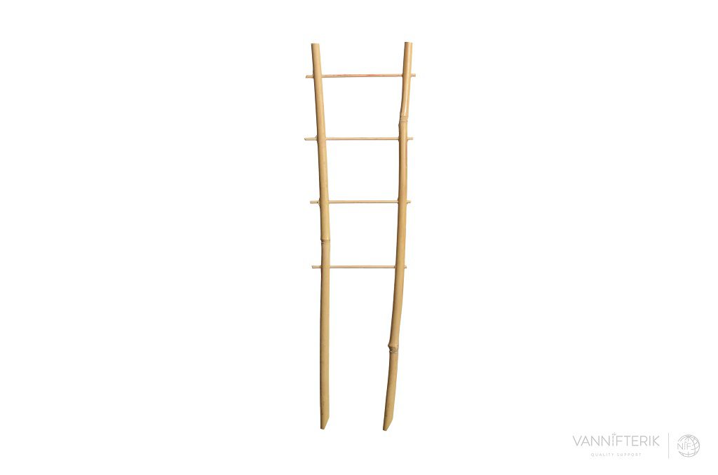 Espalderas de bambú tonkín en forma de escalera