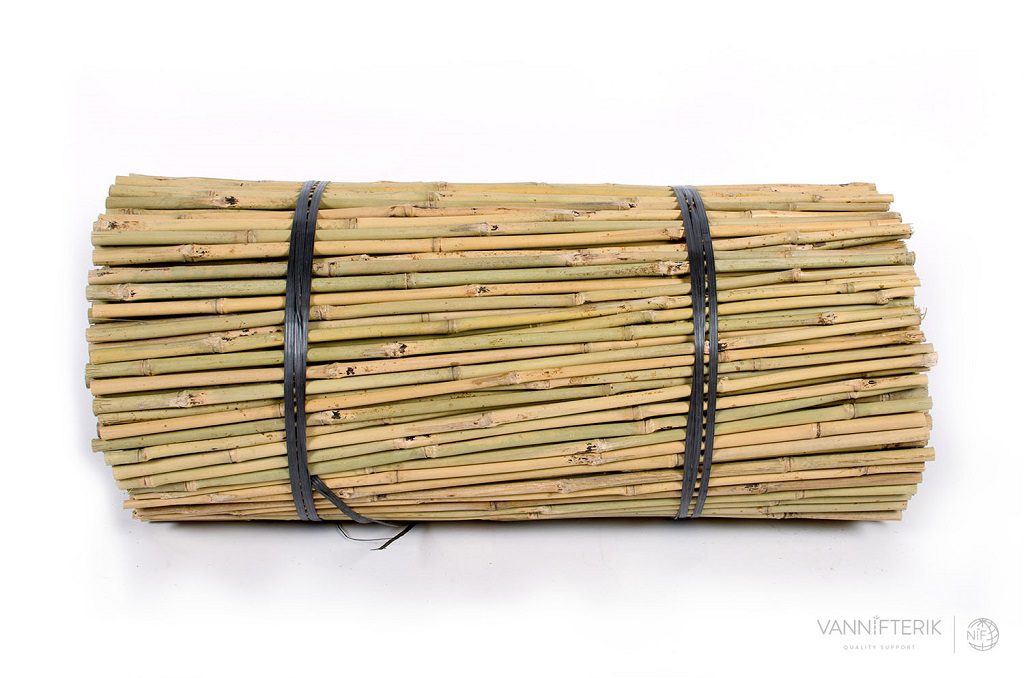 Bündel von Tonkin-Bambusrohre