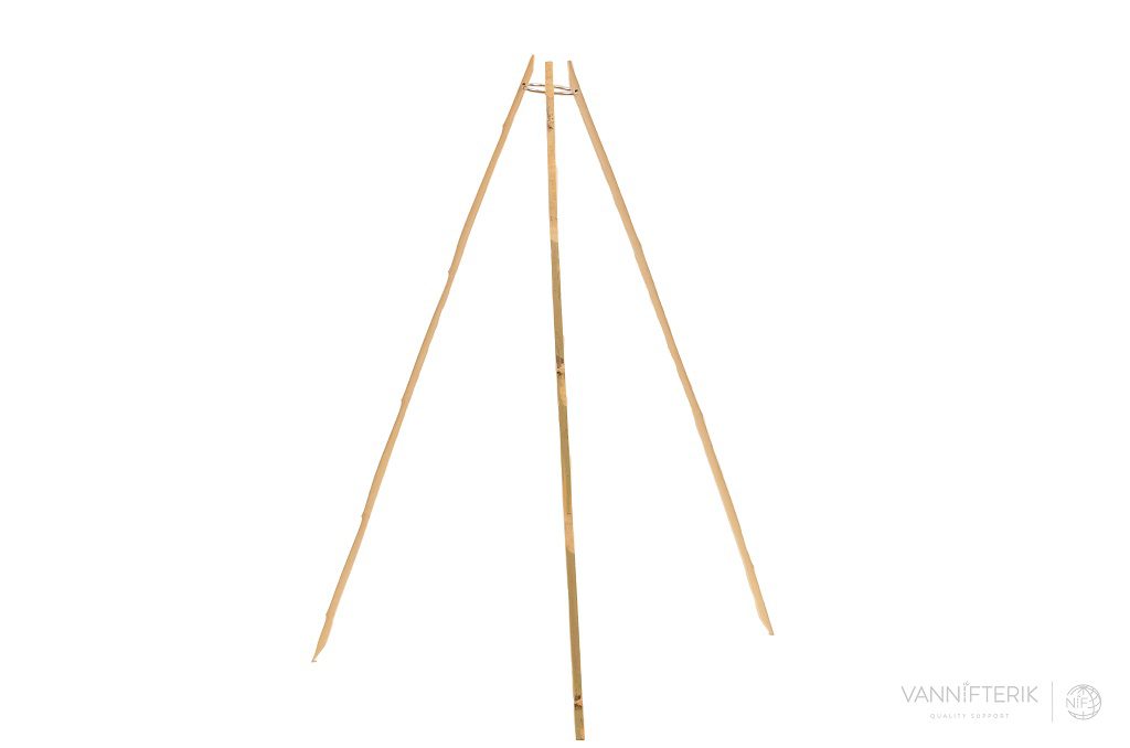 Split bamboo tripod