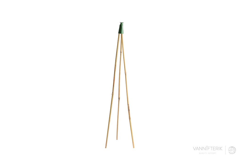 Trípode de bambú tonkín con tapa de goma
