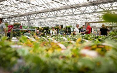 ¿Le veremos en la feria del comercio minorista europeo de plantas de jardín?
