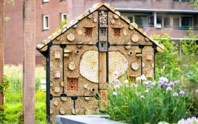 Sustainable insect hotels made from bamboo